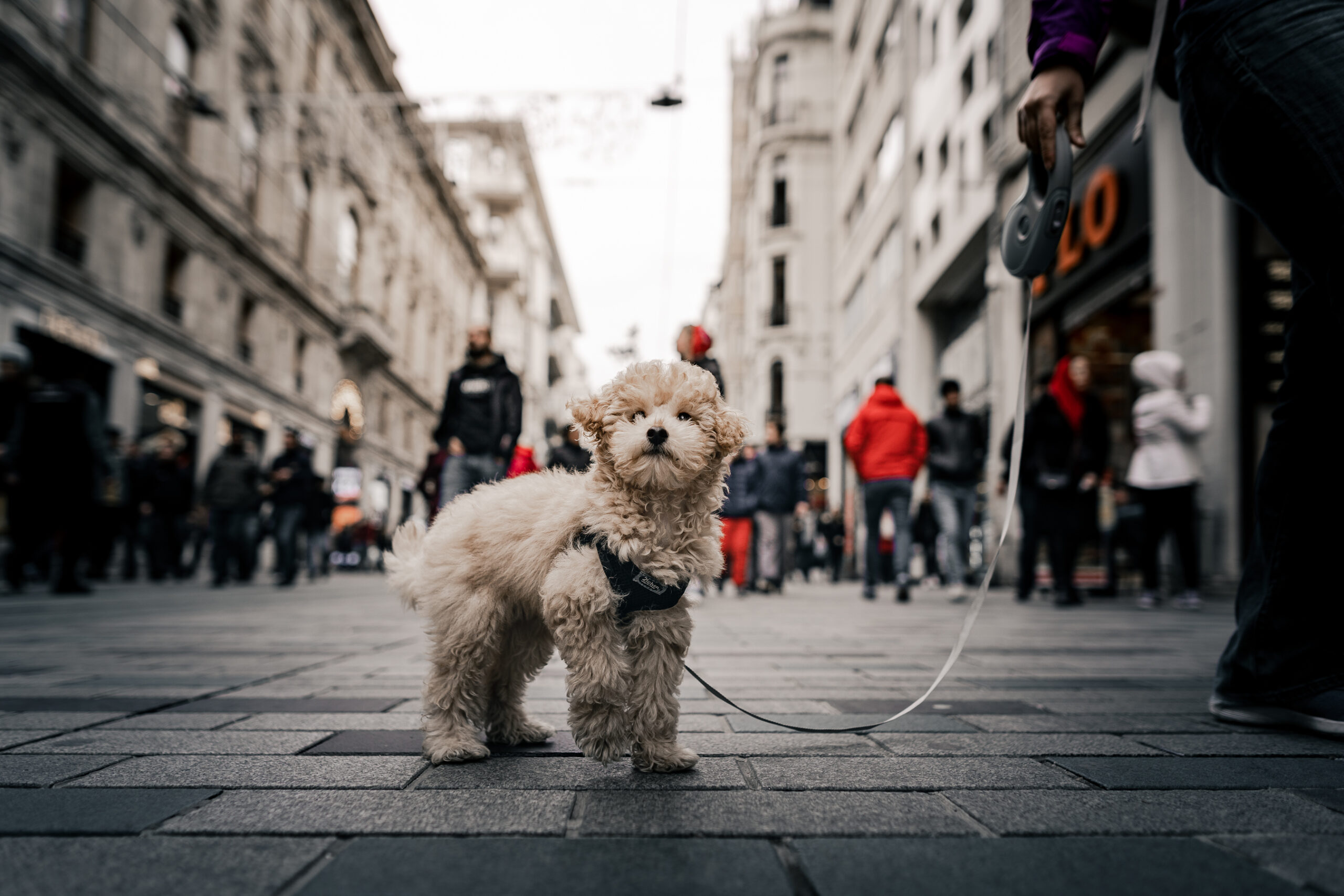 fotoğrafta bakış açısını değiştirmek lazım – İstiklal Caddesi, İstanbul (Sony A7iii Sigma 24mm / f:2 1/800s iso100)